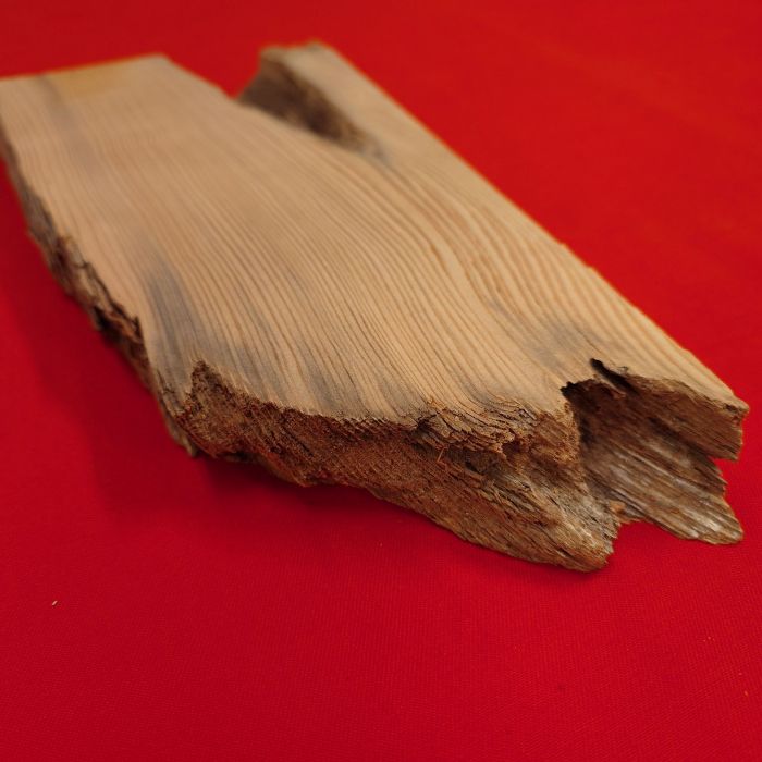 ���׿���������754