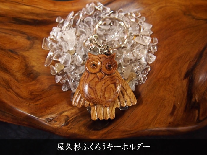 ���׿��դ����������ۥ����431