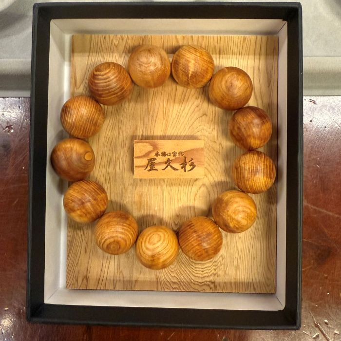 ���׿�������ڸ��ݥ֥쥹��åȡ����18.5cm)6108A