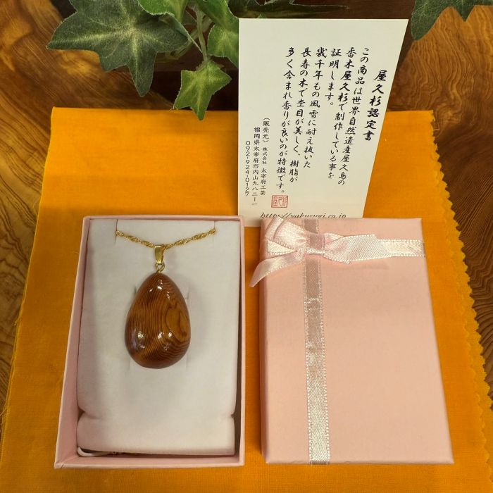 ���׿������ݼ����ͥå��쥹��461