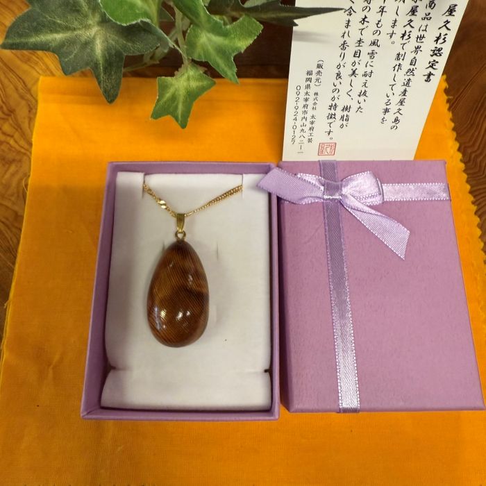 ���׿������ݼ����ͥå��쥹��462