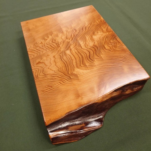 ���׿���������5534