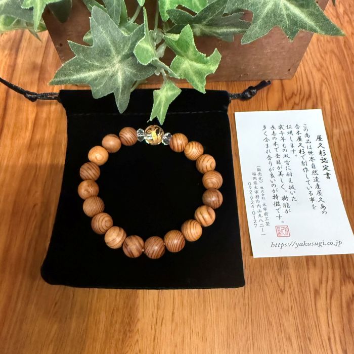 ׿֥쥹å10˱Ħ徽18cm)6105C