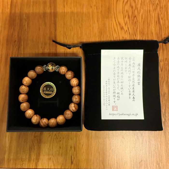 ׿֥쥹å10˱Ħ徽18cm)6105C