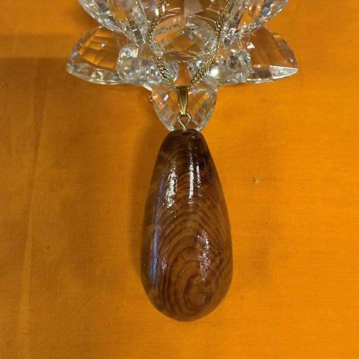 ���׿���������ݼ����ͥå��쥹��467