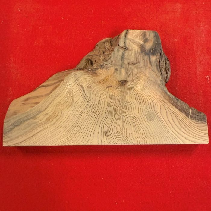 ���׿���������801