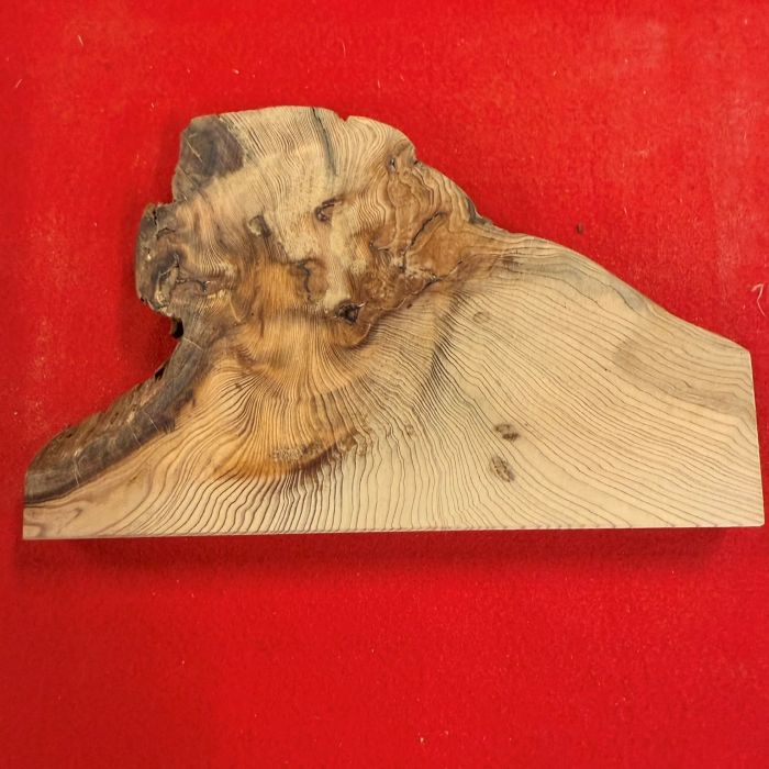 ���׿���������801