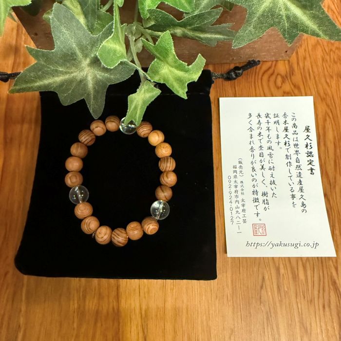 ׿֥쥹å8徽15cm)6105H