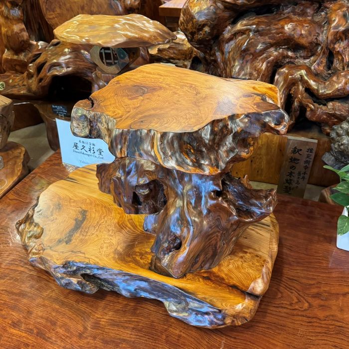 ���׿������־�0211 