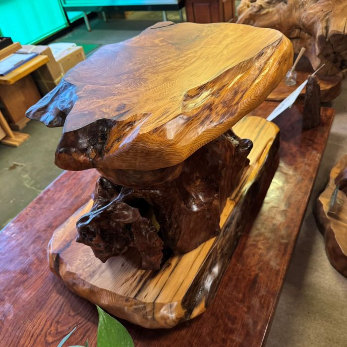 ���׿������־�0211 