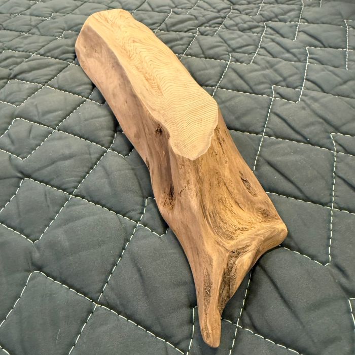 ���׿��������ڲ���806