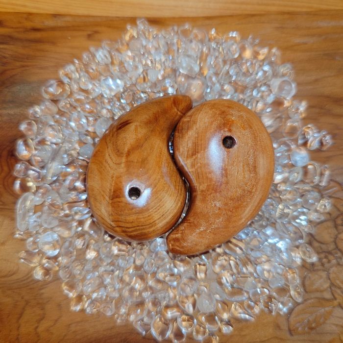 ���׿��þ��ݸ��̡ʱ��ۡ˥ڥ����å�515