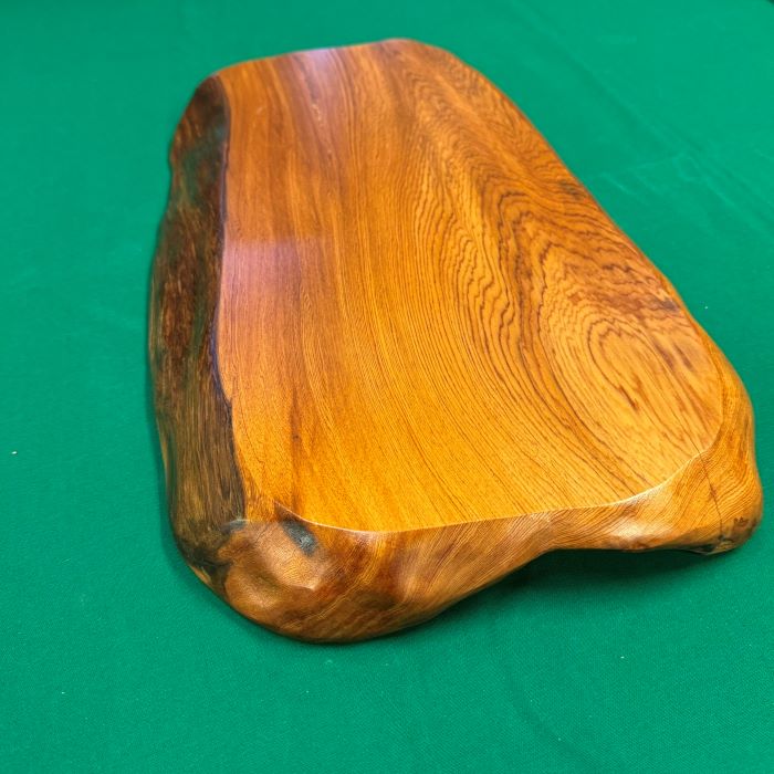 ���׿���������5544