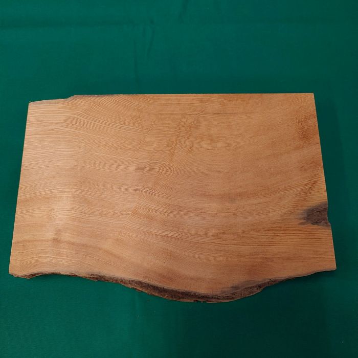 ���׿���������769