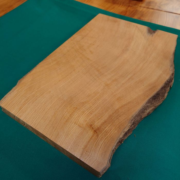 ���׿���������769