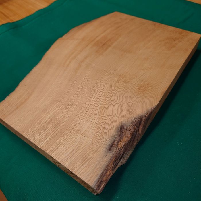 ���׿���������769