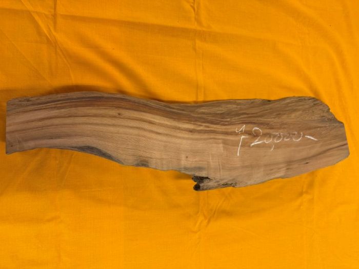 ���׿����ݸ��ڡ��Ӻࡡ854