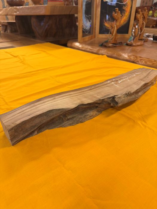 ���׿����ݸ��ڡ��Ӻࡡ854