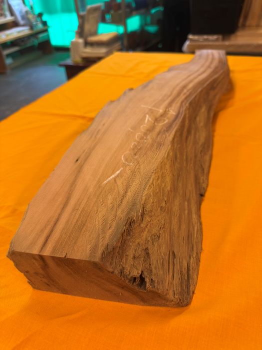 ���׿����ݸ��ڡ��Ӻࡡ854