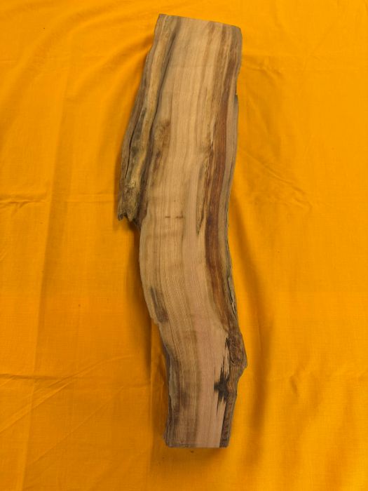 ���׿����ݸ��ڡ��Ӻࡡ854