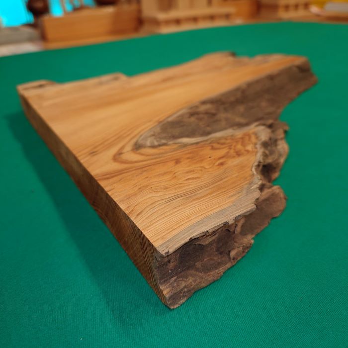 ���׿���������738