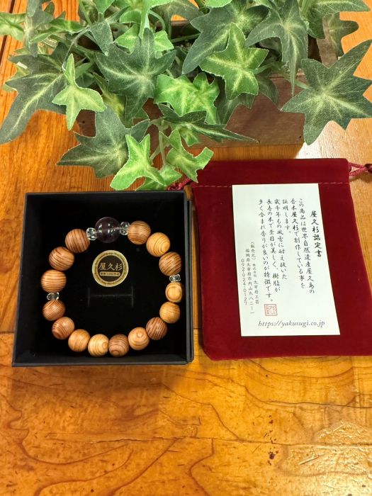 ���׿��ǹ��֥쥹��å�����12.10�����ե����饤��16mm�����16cm)6097