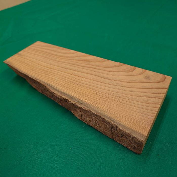 ���׿���������748