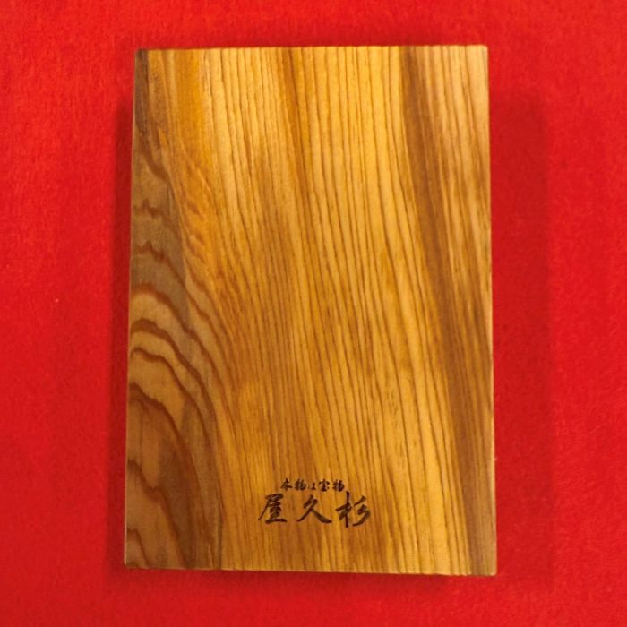 ���׿���ζ����Ģ��6101