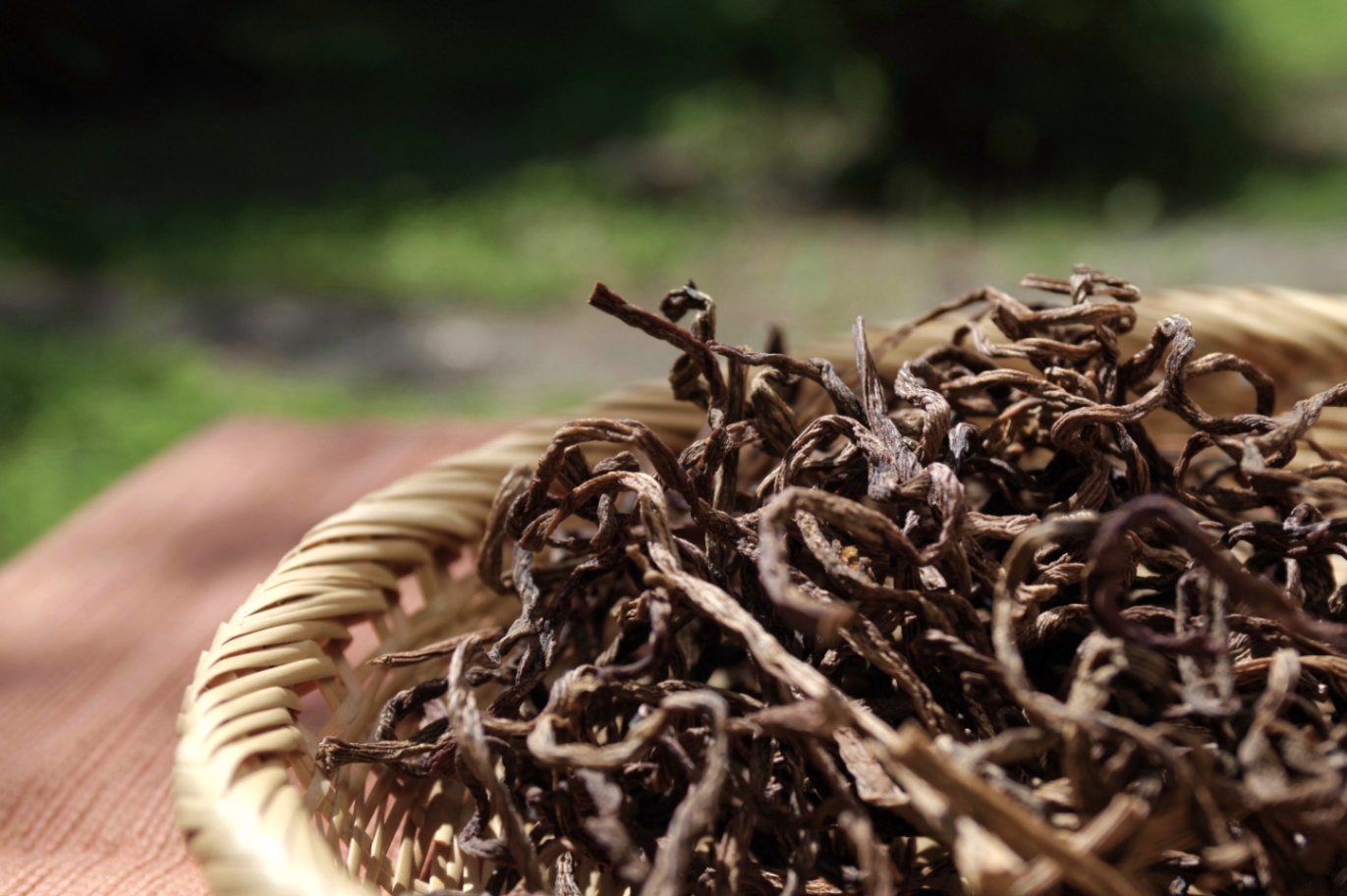 【販売終了】【令和６年収穫】塩蔵天日干しわらび