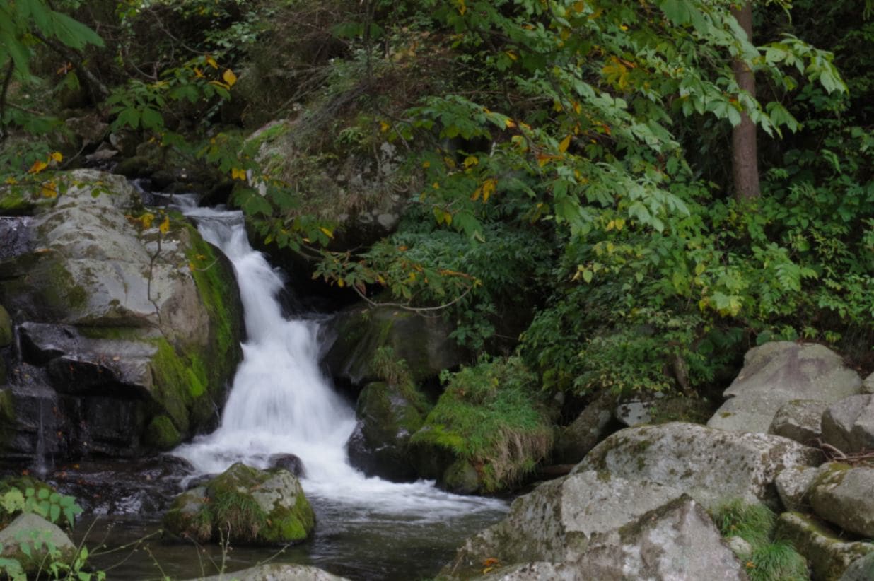 2025年度遠野宮守産玄米（あきたこまち）5ｋｇ