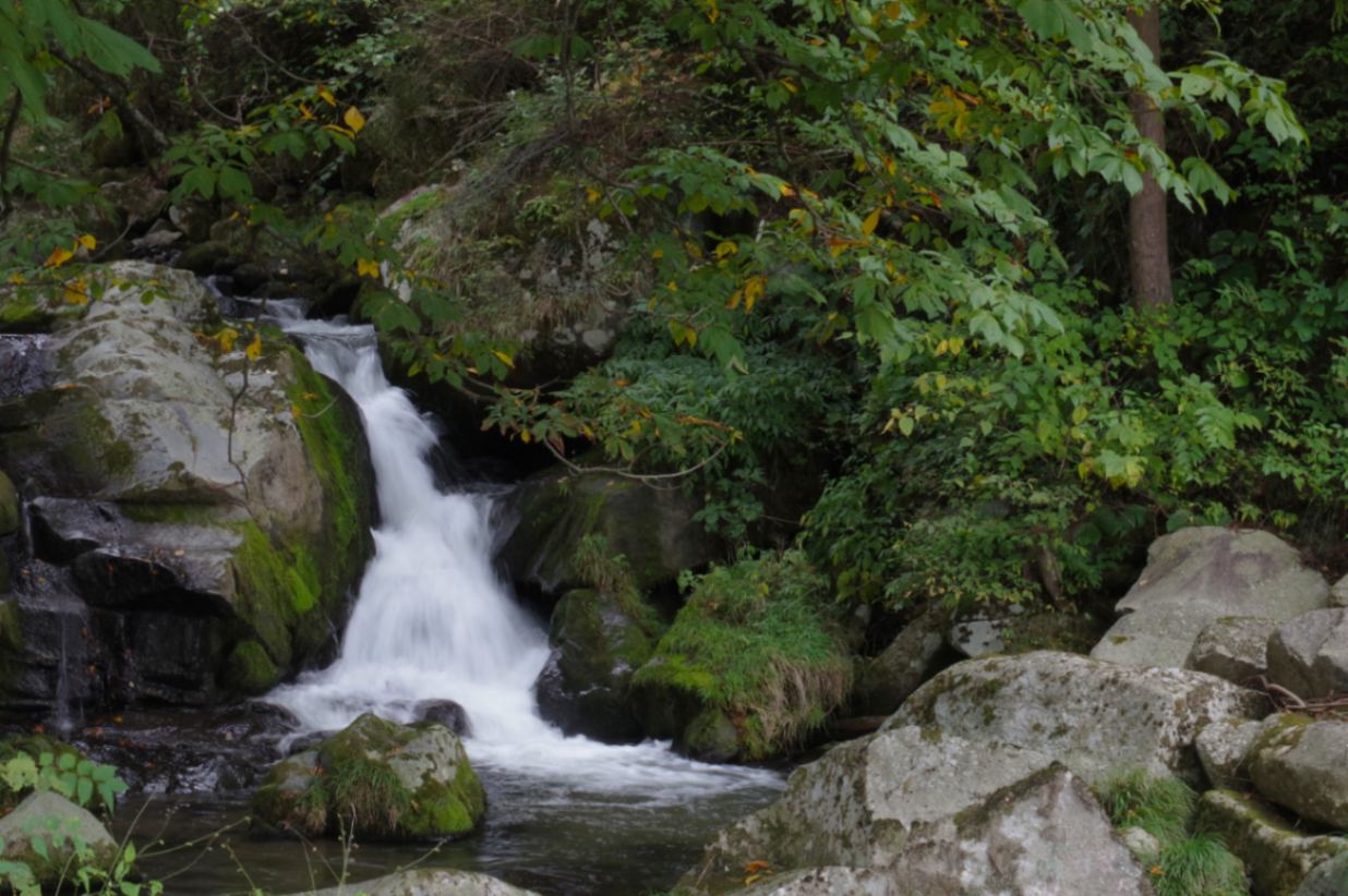 2025年度遠野宮守産ひとめぼれ2ｋｇ