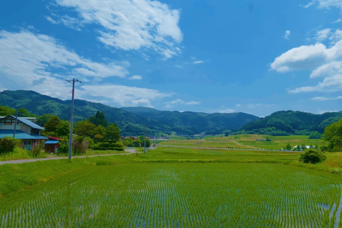 【山あいのおこめ】 2025年度遠野宮守産玄米（ひとめぼれ）5ｋｇ