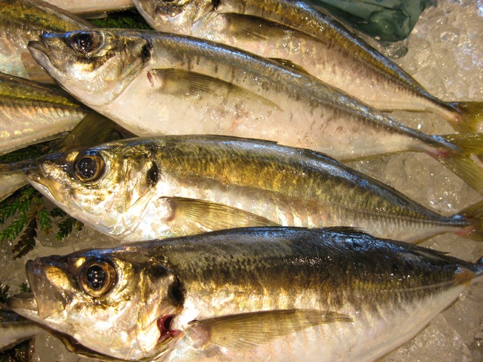 �ڳ��������۰��봳����1�������