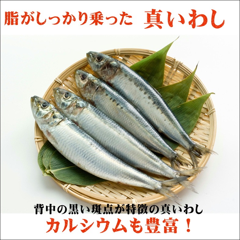 �ڿ����路�Τߤ�󴳤���4��5������