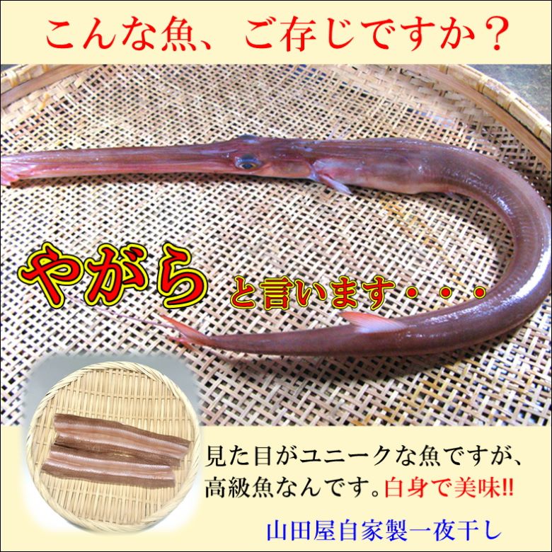 �ڤ䤬��۰��봳��