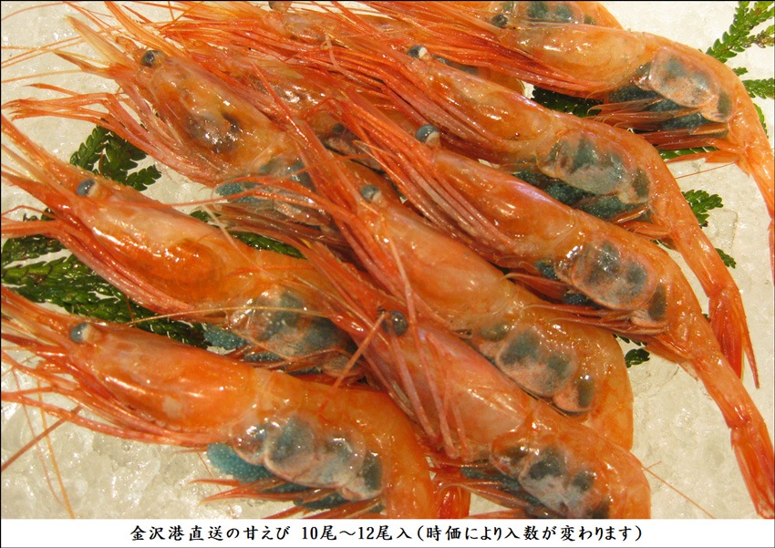 �����������εͤ��碌��Ȣ����ߡ�