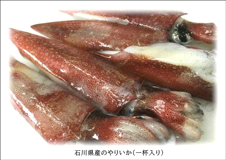 �����������εͤ��碌��Ȣ����ߡ�