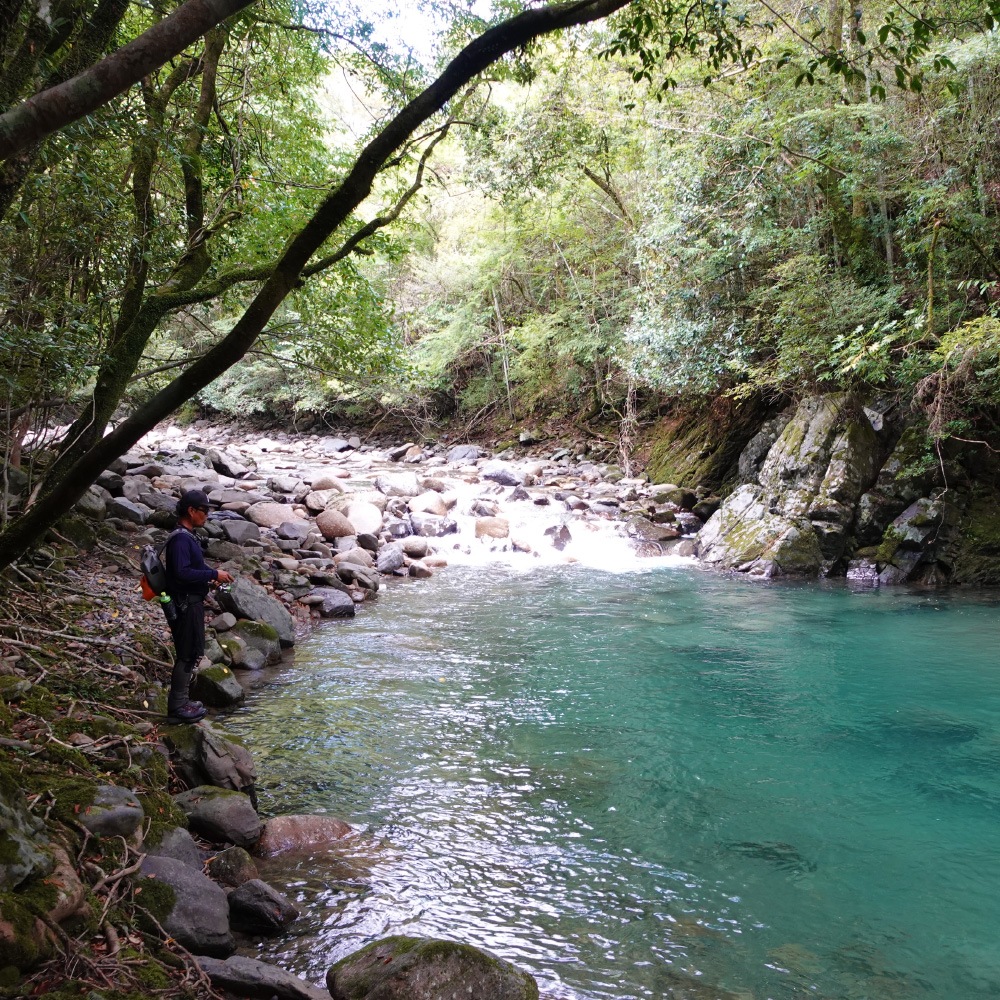 BlueCurrent 41 “BETA”