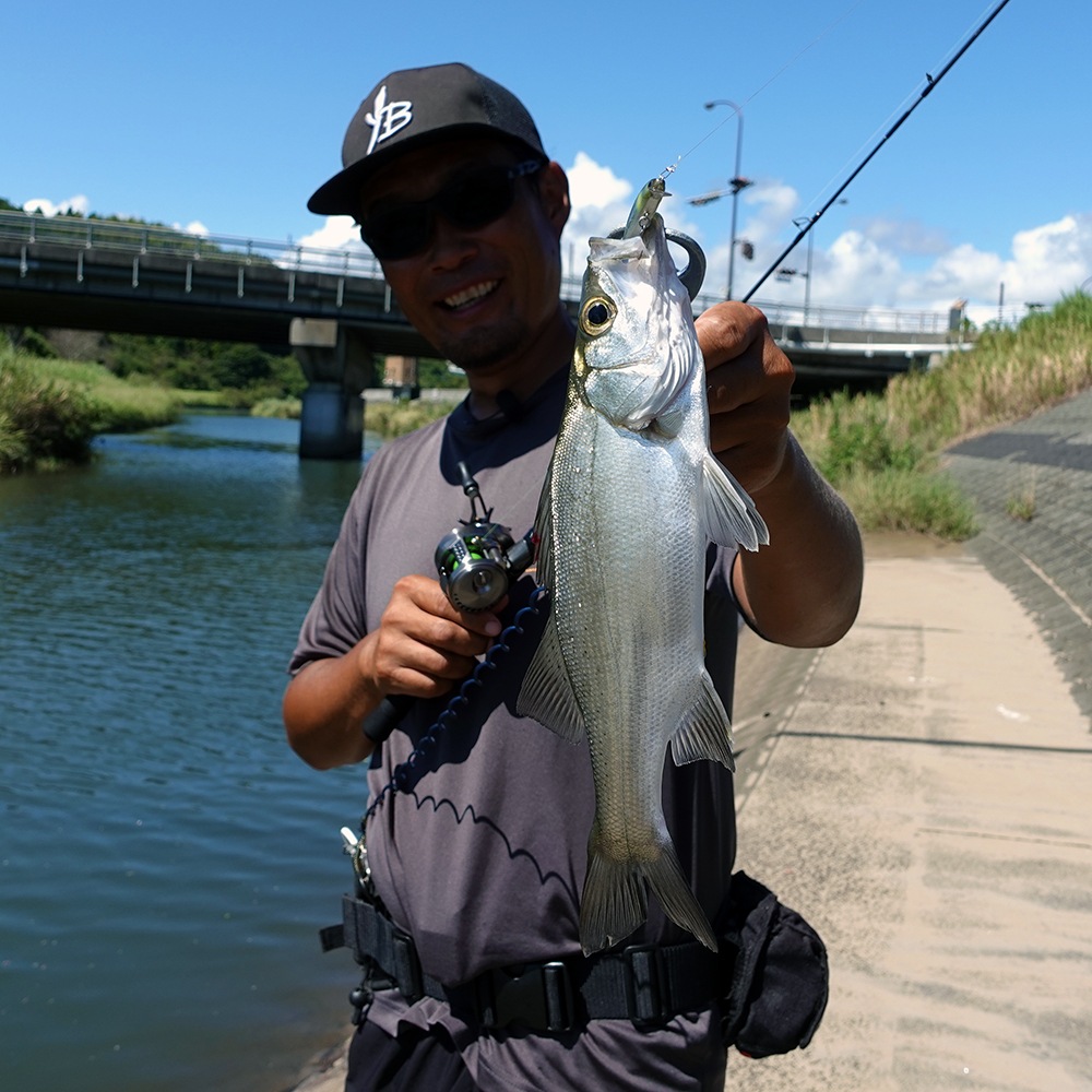 BlueCurrent 46/B “BETA”