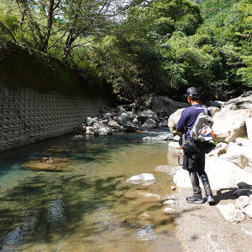 BlueCurrent 46/B “BETA”