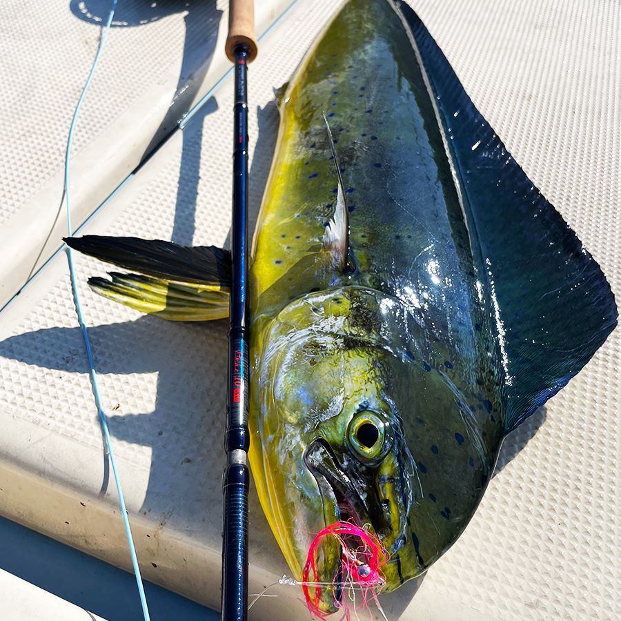 ENNE for Saltwater