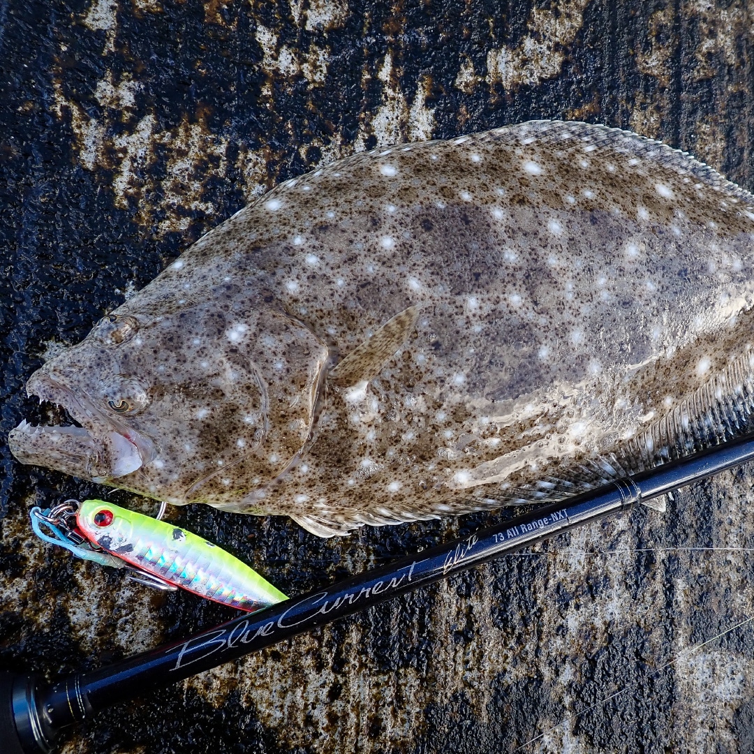 抽選応募】BlueCurrent 73 All Range NXT “ELITE” | LIMITED ROD