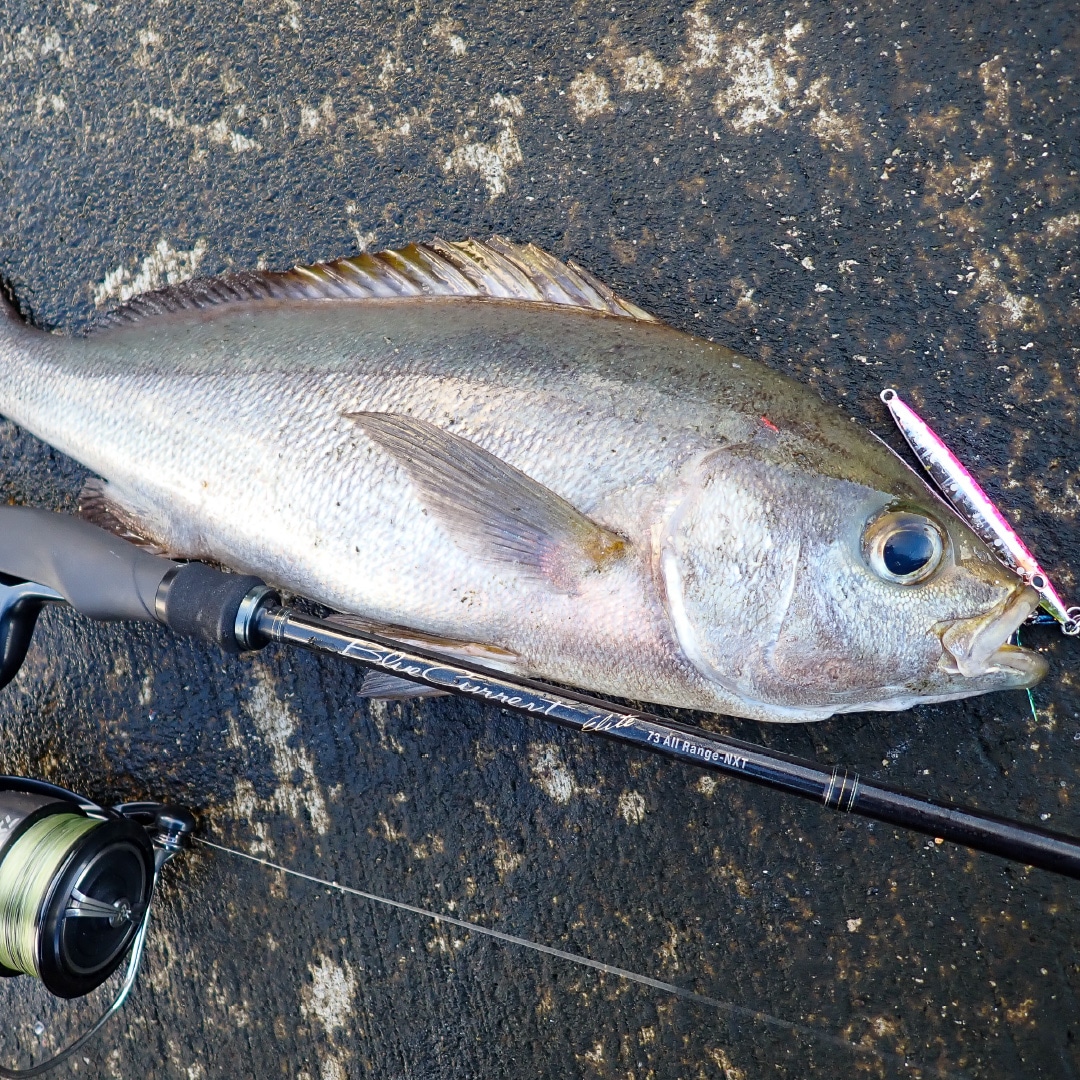 BlueCurrent 73 All Range NXT “ELITE” | LIMITED ROD | YAMAGA Blanks