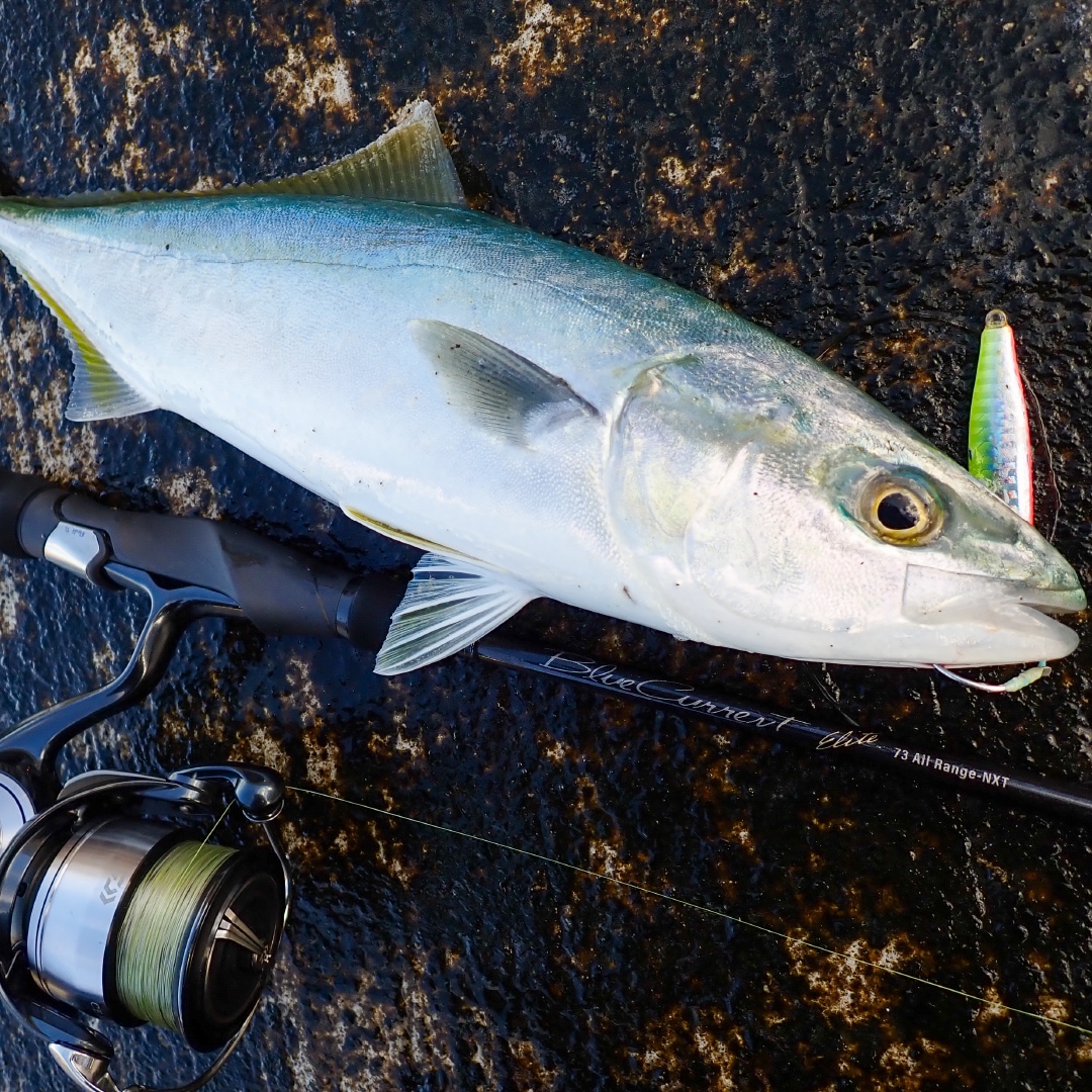 BlueCurrent 73 All Range NXT “ELITE” | LIMITED ROD | YAMAGA Blanks