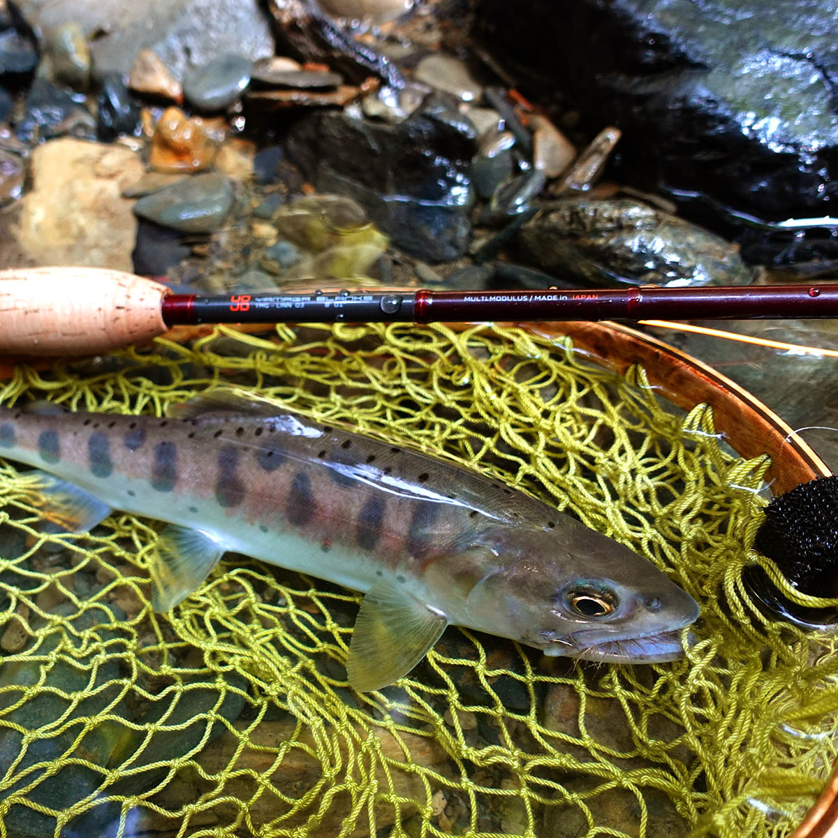 LINN for Stream of Japan