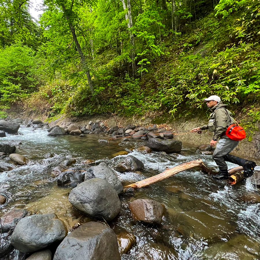 LINN for Stream of Japan