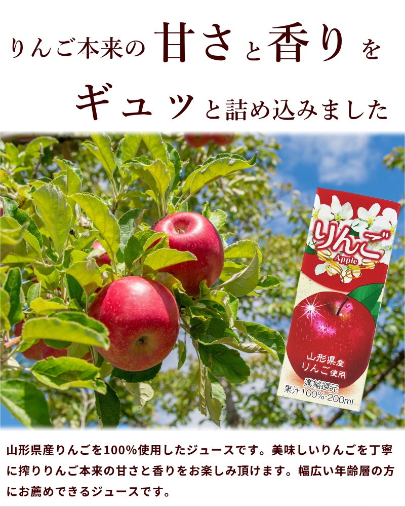 ギフト パッケージ りんごジュース 12本 チェリー酢 6本 計18本 山形