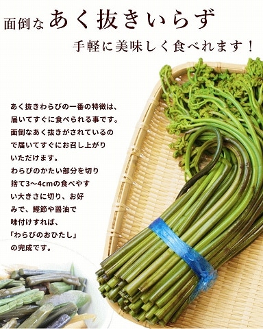 SALE/通常5,800円】山形県産山菜 あく抜き済みわらび 1kg | 12_野菜