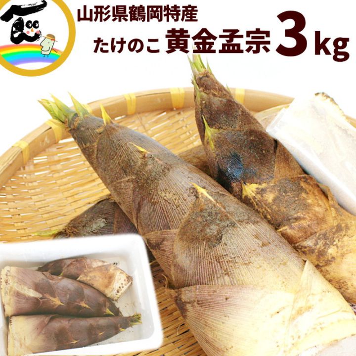 SALE】通常5,280円 山形県産 たけのこ 黄金孟宗 (こがねもうそう) 3kg
