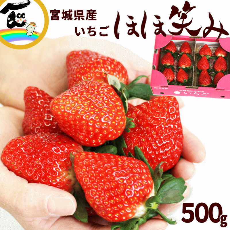 いちご いちご いちこ いちご adidas ZX 8000